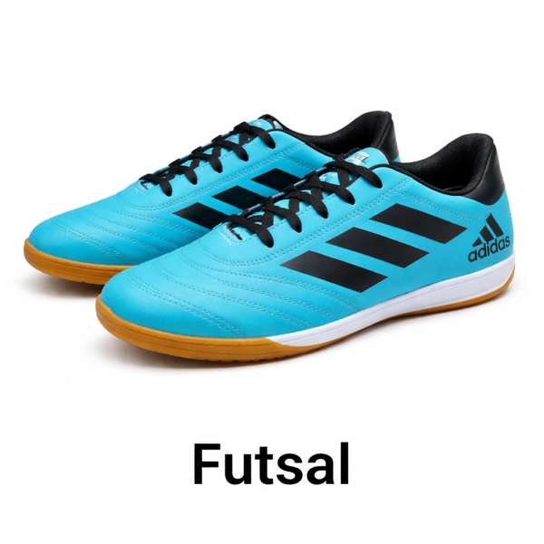 Modelo 005
