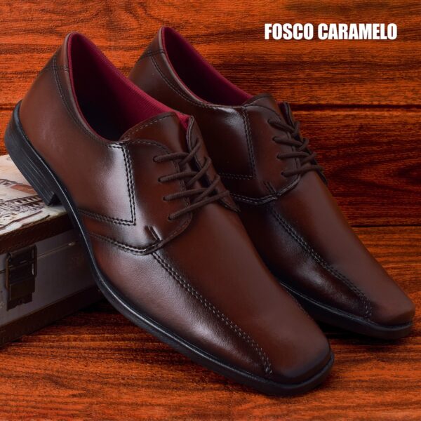 Modelo 008