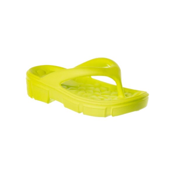 Modelo 001