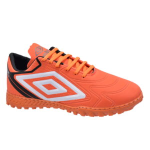 Modelo 023