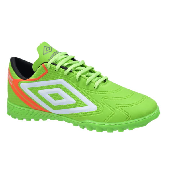 Modelo 021