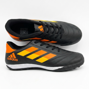 Modelo 001