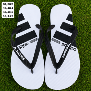 Modelo 001