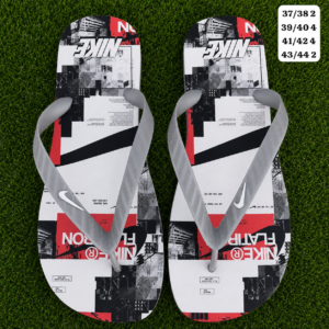Modelo 004