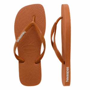 Modelo 008