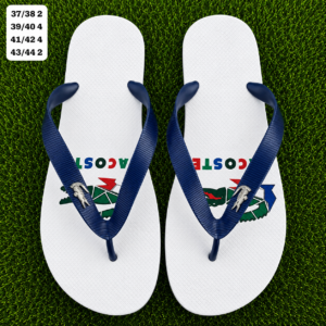 Modelo 003