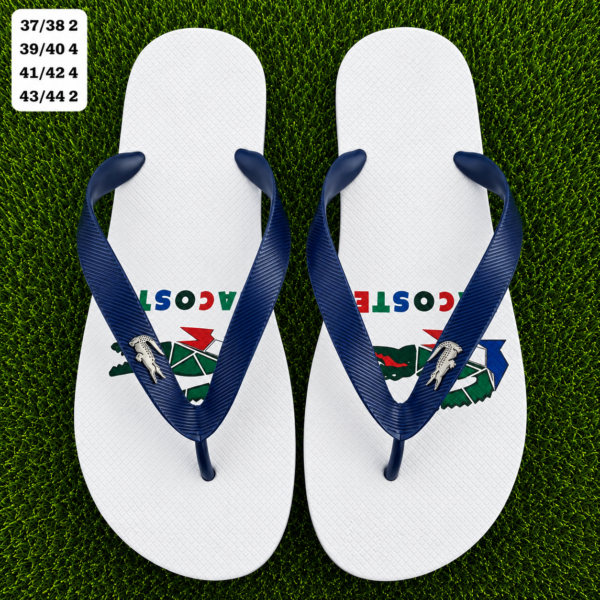 Modelo 003