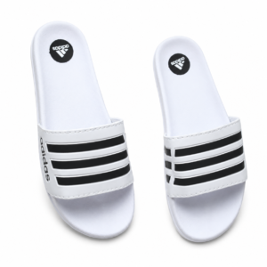 Modelo 001