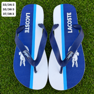 Modelo 001