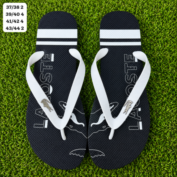 Modelo 009