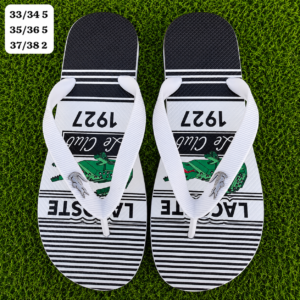Modelo 004