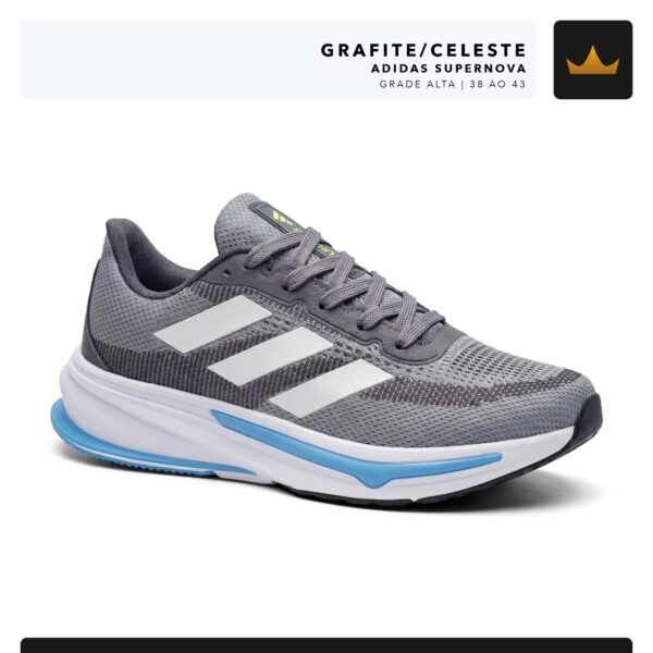 Modelo 010
