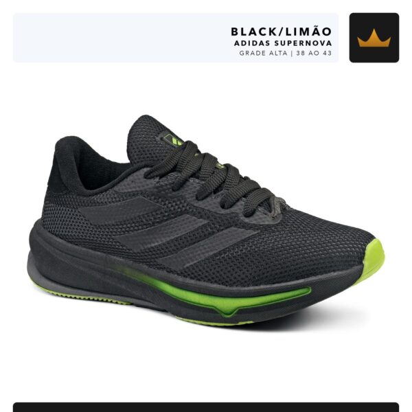 Modelo 012
