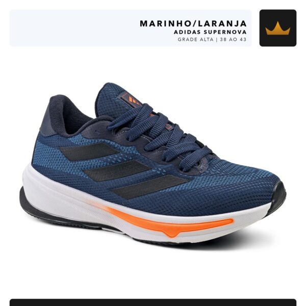 Modelo 011