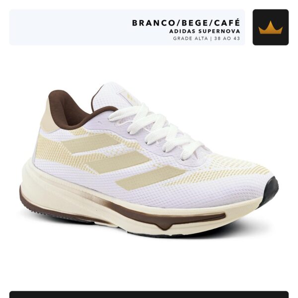 Modelo 009