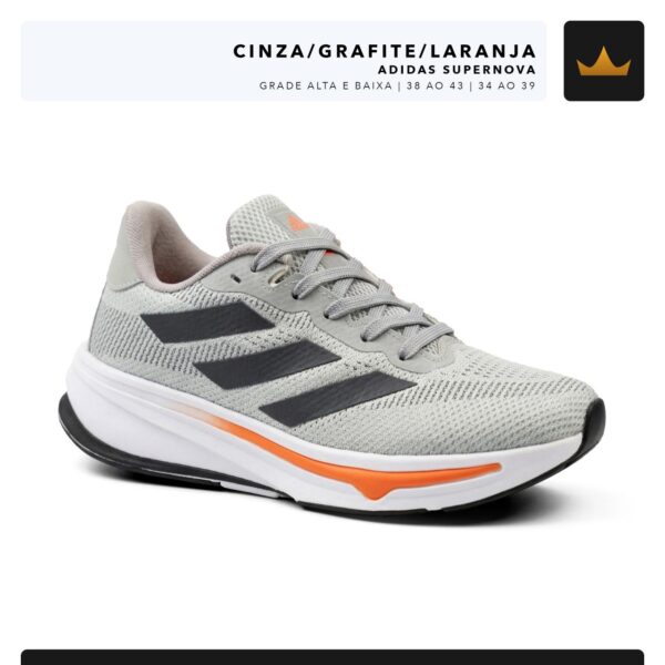 Modelo 008