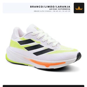 Modelo 005