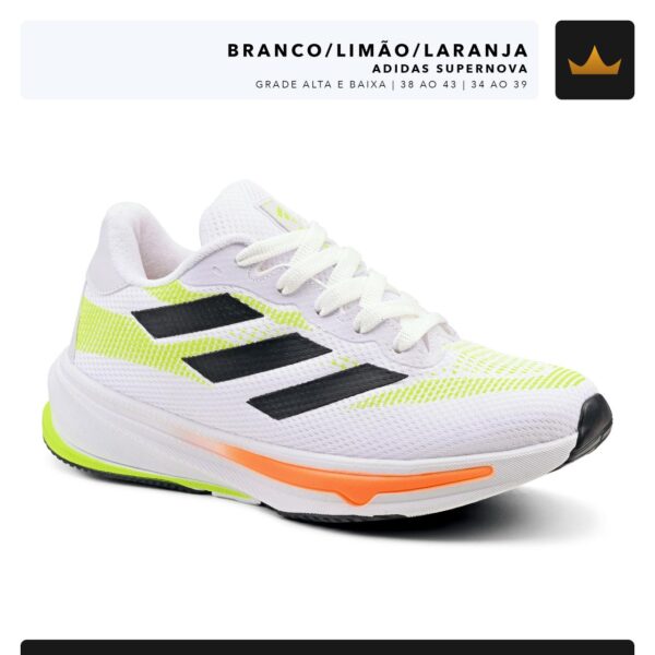 Modelo 005