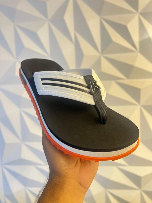 Modelo 003
