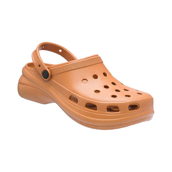 Modelo 005