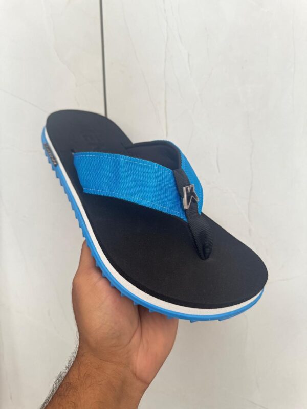 Modelo 005