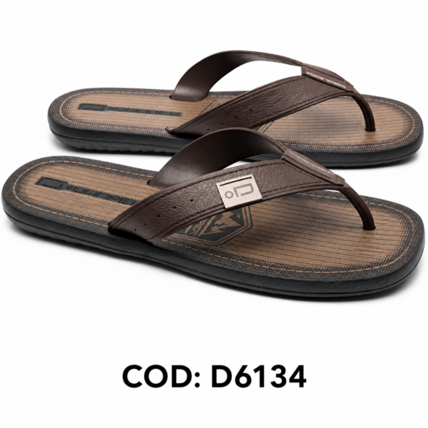 Modelo 002