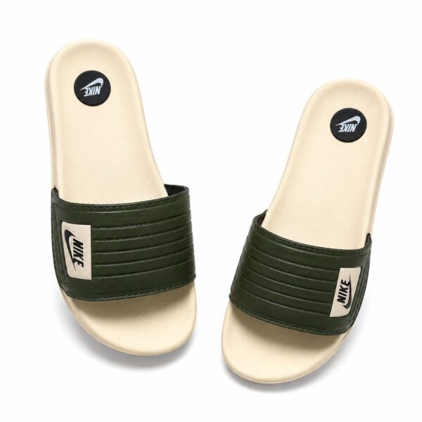 Modelo 001