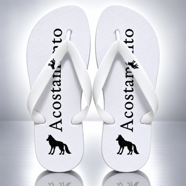 Modelo 002