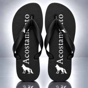 Modelo 005