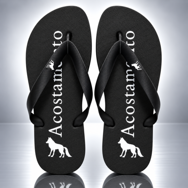 Modelo 005