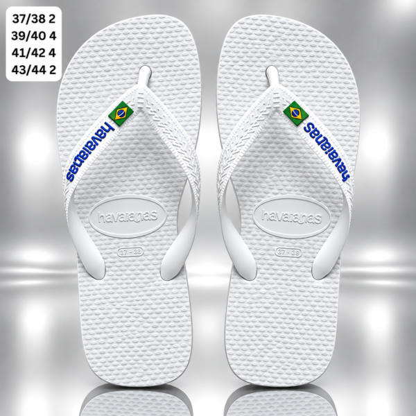Modelo 004
