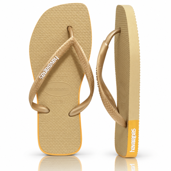 Modelo 005